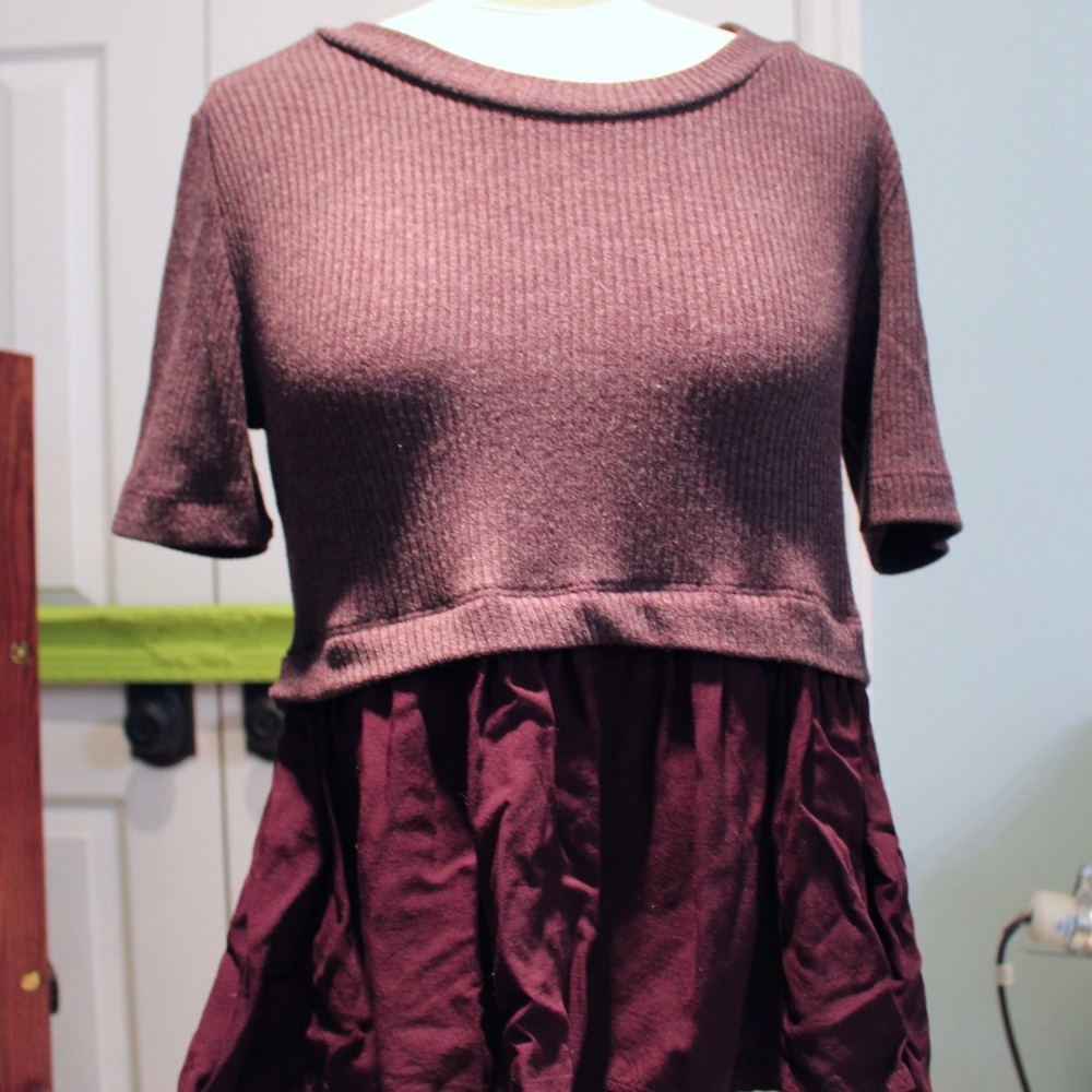 Anthropologie Plum Shirt